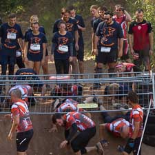 Runterra 2019