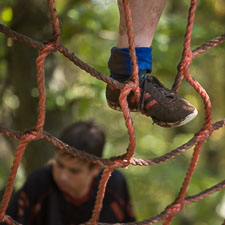 Runterra 2019